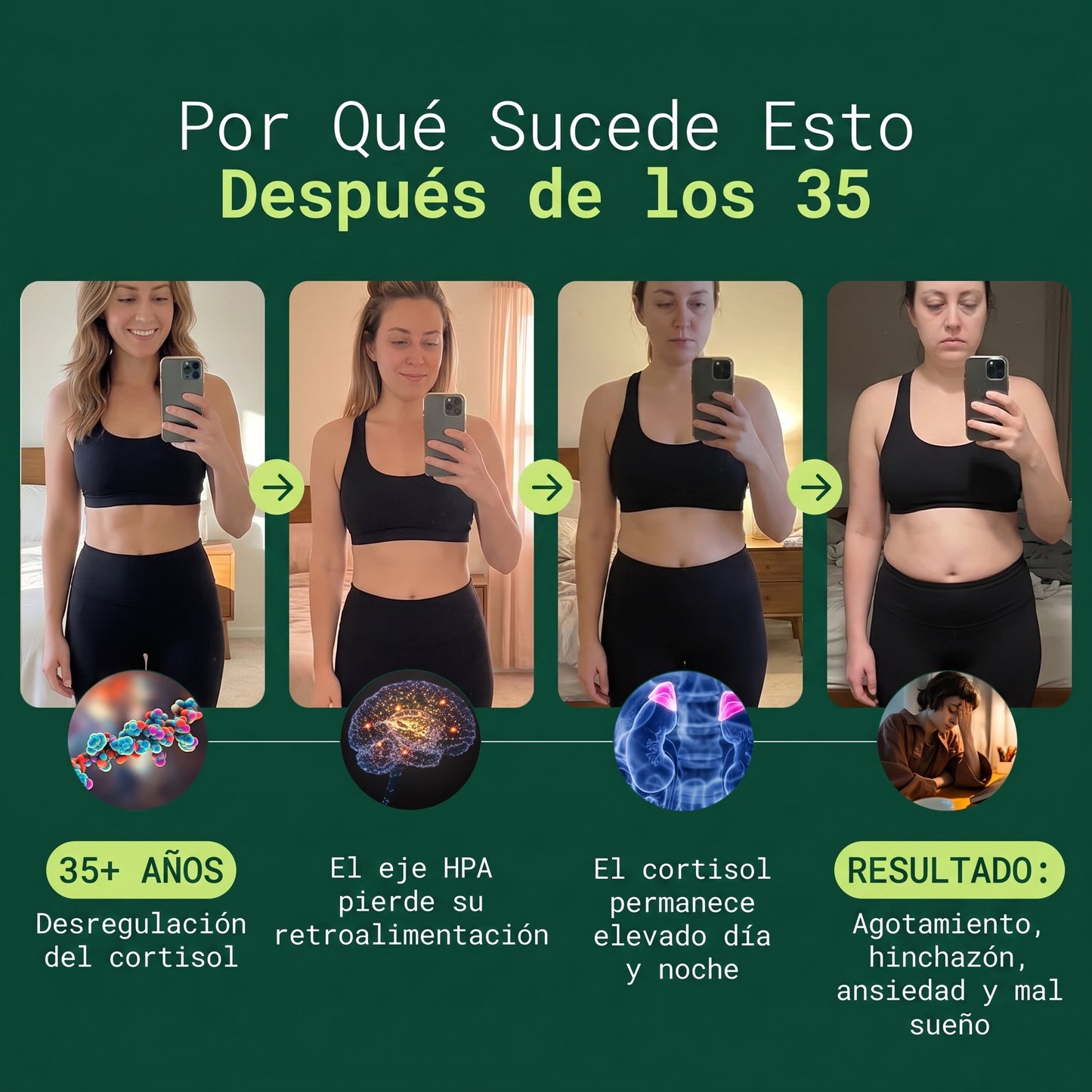 Rhodiola Rosea - Adaptógeno natural fabricado en Estados Unidos [400 mg]