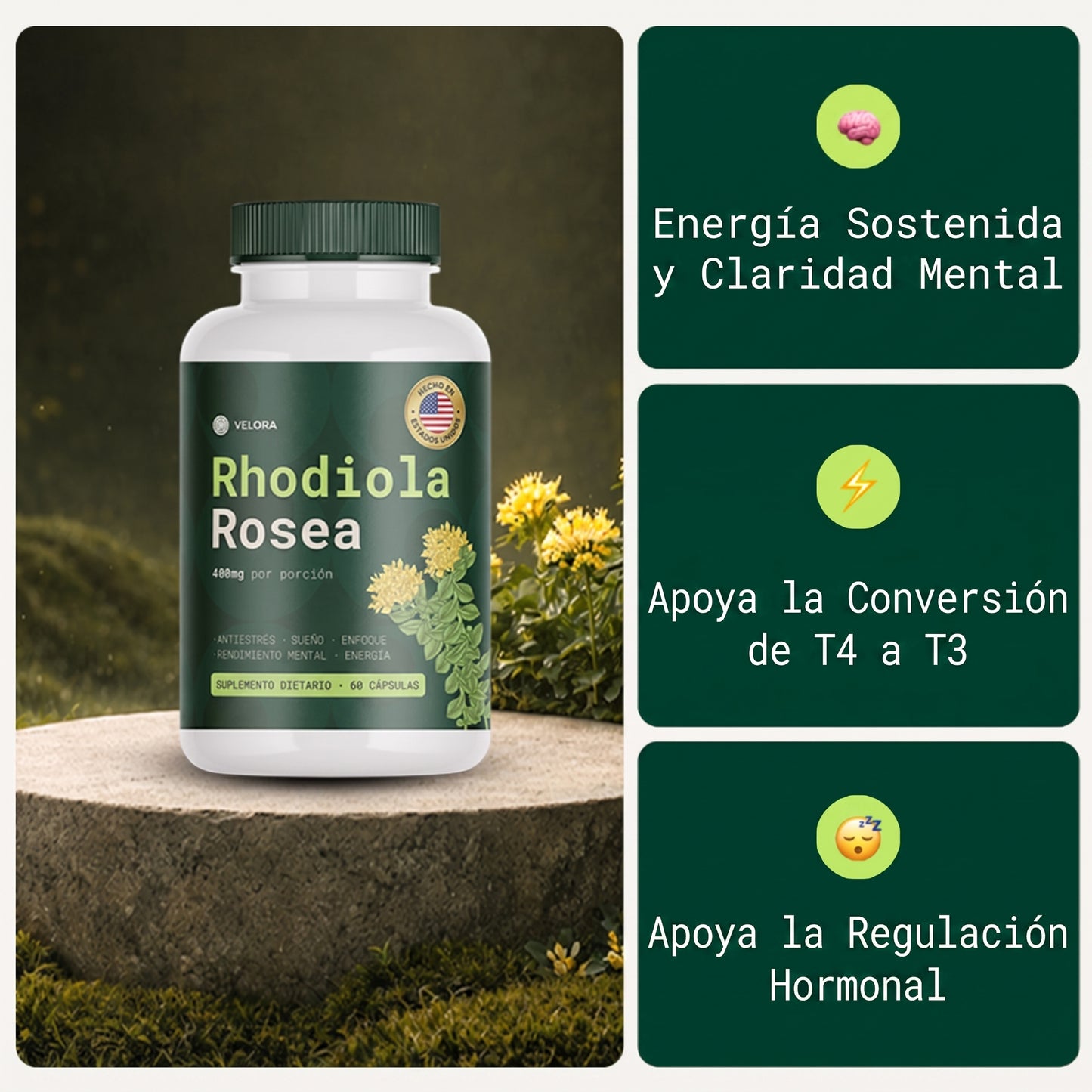 Rhodiola Rosea - Adaptógeno natural fabricado en Estados Unidos [400 mg]