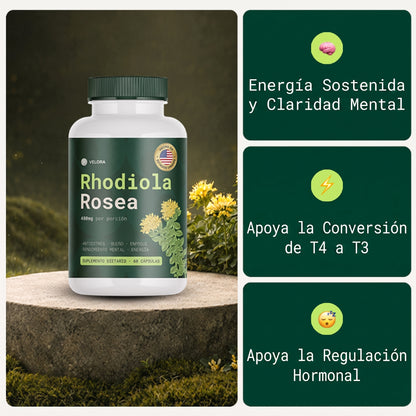 Rhodiola Rosea - Adaptógeno natural fabricado en Estados Unidos [400 mg]